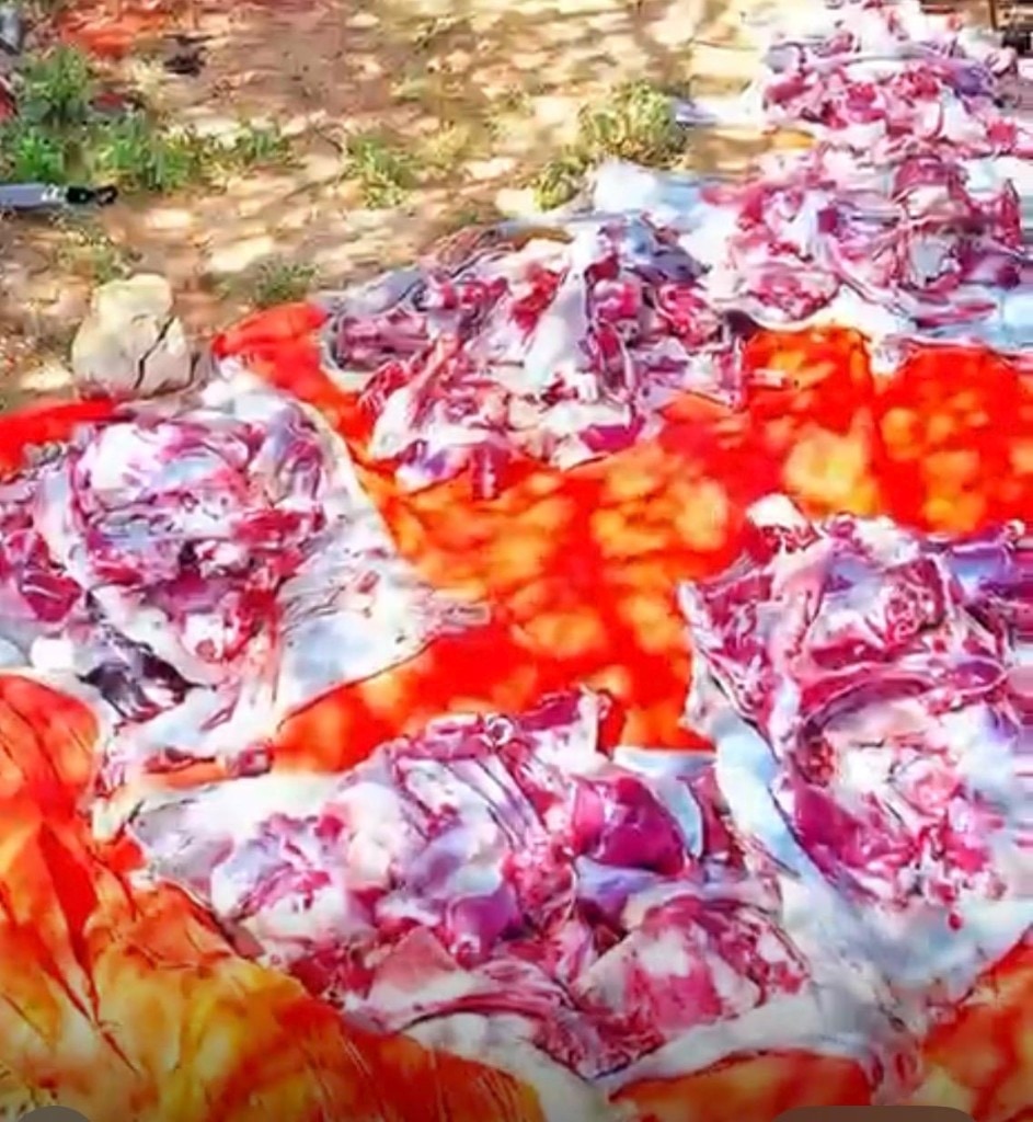 Fresh Qurbani meat packaged for distribution